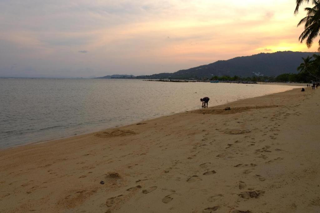 Rose Garden Samui Bungalows Lamai Beach  Buitenkant foto