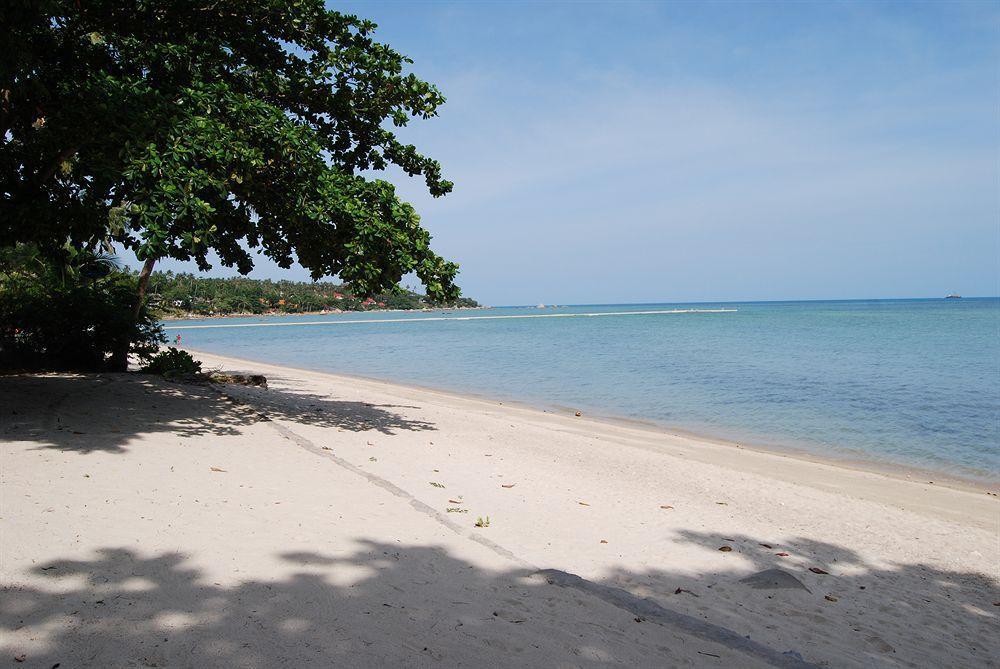 Rose Garden Samui Bungalows Lamai Beach  Buitenkant foto